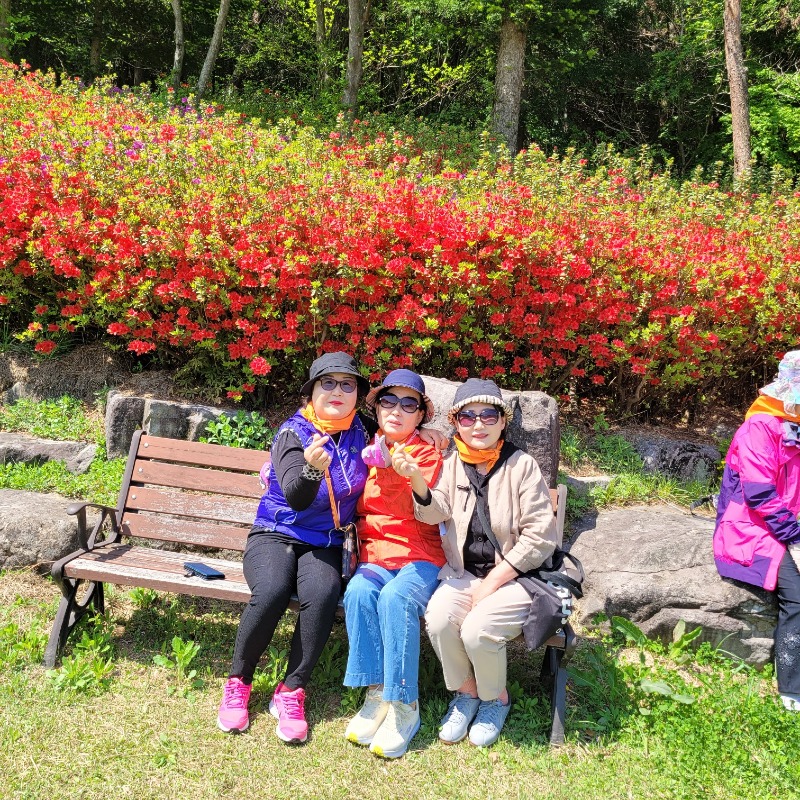 KakaoTalk_20250429_170623915_05.jpg
